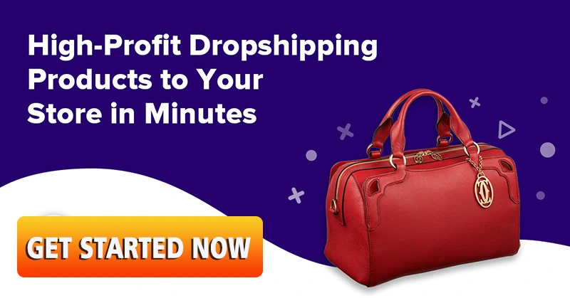 High Profit Dropshipping Product